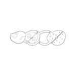 Kit de Fechaduras Adicionais para Porta de Veículos Comerciais - Image 6