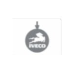 Par de farolillos colgantes para espejo Iveco