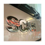 Logotipo cromado de veículo, fundo desfocado.