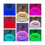 Base Poppy Led Multicolor 12/24V USB/USB-C - Image 2